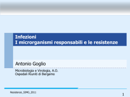slide Goglio - Resistenze_SIMG_DIA