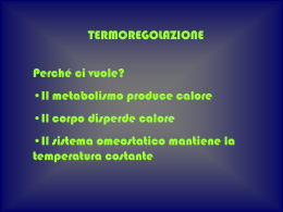 TERMOREGOLAZIONE (vnd.ms-powerpoint, it, 113 KB, 12/27/05)
