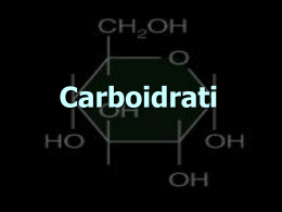 4.carboidrati