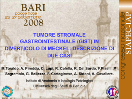 036 - M.Toraldo, A. Pireddu, et al.