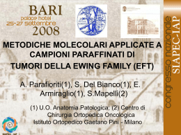 141 - A.Parafioriti, S.Del Bianco, et al