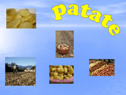 patate - Alberghierobrindisi.it