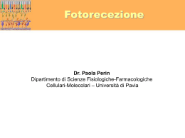 Lezione 2 - Università degli Studi di Pavia