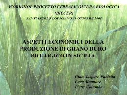 aspetti economici della produzione di grano duro biologico in sicilia
