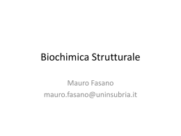 Biochimica Strutturale - Uninsubria