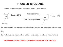lezione 25 (vnd.ms-powerpoint, it, 6090 KB, 1/20/14)
