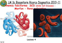 04 LM SBIS RIC_DIAGN 10_11 Falcemia