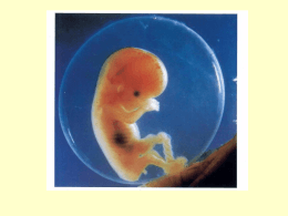 3. La procreazione assistita, lo statuto dell`embrione e la questione