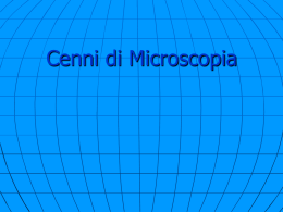 E_Cenni di Microscop..