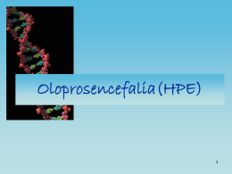 Oloprosencefalia(HPE)