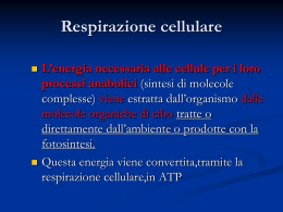 4.Respirazione_cellulare - Materiale Scienze della Formazione
