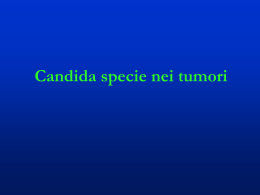 Candida specie nei tumori