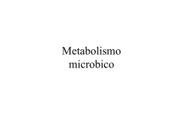 Metabolismo_Microbico