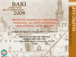 081 - M.Casiello, G.Napoli, et al.
