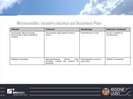 Microcredito: incontro tecnico sul Business Plan