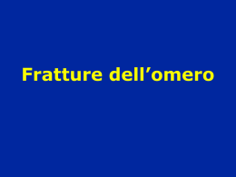Omero-Fratture - lerat