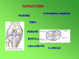 Ginocchio - Roma 122