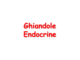 11-T.ghiandolare-endocrino
