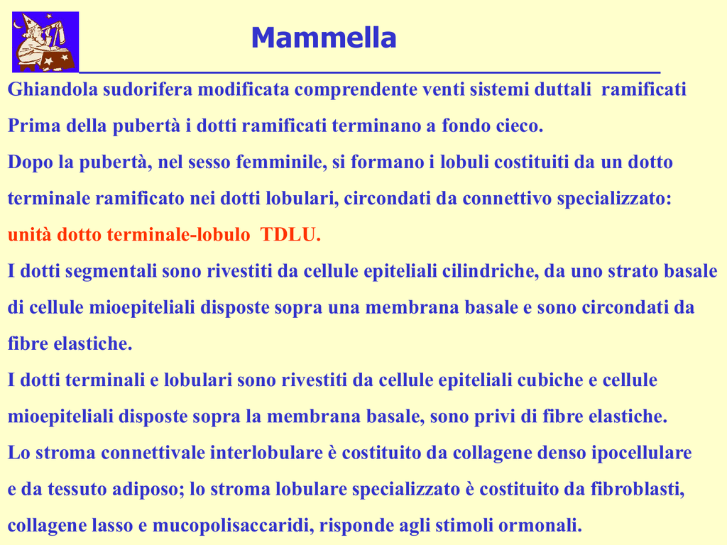 carcinoma lobulare infiltrante sopravvivenza carcinoma lobulare infiltrante sopravvivenza