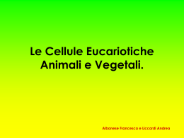Le Cellule Eucarioti Animali e Vegetali.