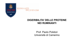 PDI - Università di Camerino