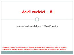 Acidi nucleici – 8