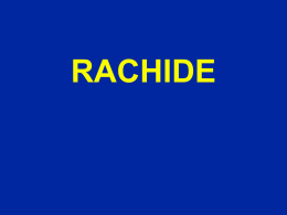 RACHIS - lerat-orthopedie.com
