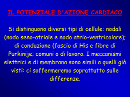 n° 10 - circolazione 3 (vnd.ms-powerpoint, it, 1313 KB, 12/19/02)