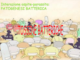 Virulenza-Tossine