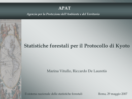 Statistiche forestali per il Protocollo di Kyoto