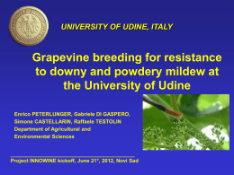 Grapevine breeding for resistance