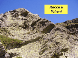 Le rocce magmatiche - Scuola Media di Piancavallo