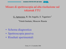 Misure di spettroscopia ad alta risoluzione sul tokamak FTU