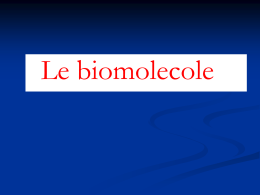 Le molecole biologiche: i carboidrati - 3comm2012-2013