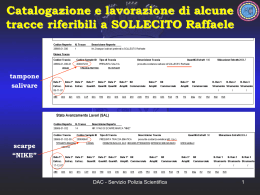 Diapositiva 1 - Perugia Murder File