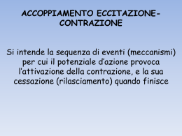 LEZIONE CEVESE 3 (vnd.ms-powerpoint, it, 1892 KB, 10/8/15)