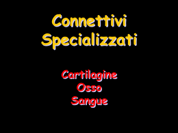 012a_Cartilagine