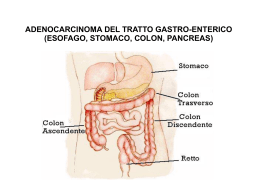 esofago, stomaco, colon, pancreas