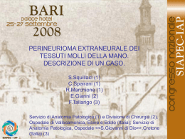 021 - S.Squillaci, C.Spairani, et al.