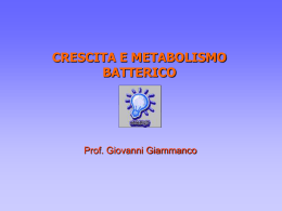 Crescita Metabolismo Coltivazione Batteri
