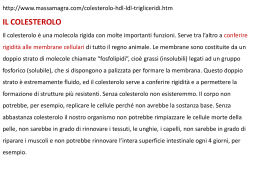 LEZIONE CEVESE 4 (vnd.ms-powerpoint, it, 130 KB, 2/25/13)