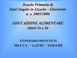 Scuola Primaria di Sant`Angelo in Lizzola – Ginestreto a.  s. 2005