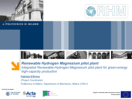 RHM Pilot Plant - Politecnico di Milano