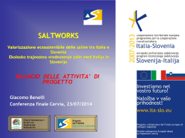 Saltworks conferenza finale Cervia 23/07/2014