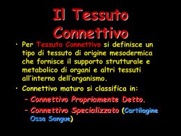 3) Tessuti Connettivi - il sito del Sommo Fabio