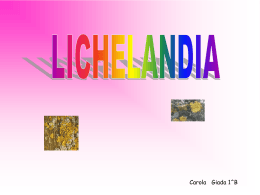 caro giadi licheni