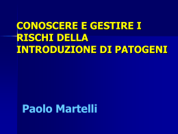 Paolo Martelli