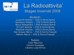 I.N.F.N. Stage Invernale 2008 - Laboratori Nazionali di Frascati