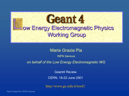 Report from the Low Energy Electromagnetic Physics