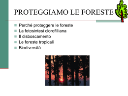 Proteggiamo le foreste